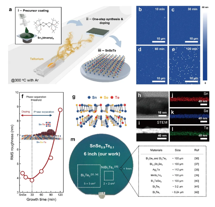 二維SnSe?.?Te?.?拓撲晶體