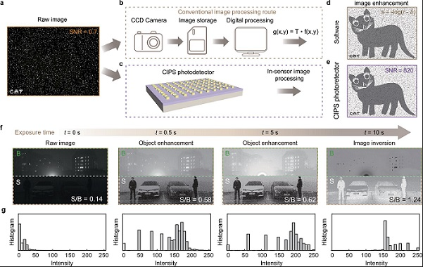 離子-電子光探測器 離子-電子光探測器
